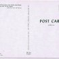 Florida Postcard Royal Poinciana Tree 1940s Cars