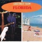 Florida Postcard Greetings From Florida Parrot Birds Sailboats Beach