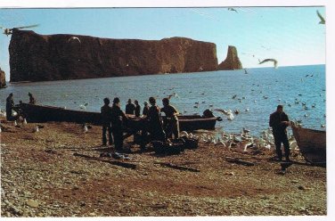 Quebec Laminated Postcard RPPC Perce Fishermen Preparing To Catch Cod