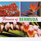 Bermuda Caribbean Islands Postcard Flowers of Bermuda Bird of Paradise Ginger