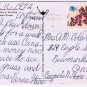 Bermuda Caribbean Islands Postcard Flowers of Bermuda Bird of Paradise Ginger