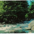 New York Postcard Whitney Point