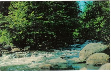 New York Postcard Whitney Point