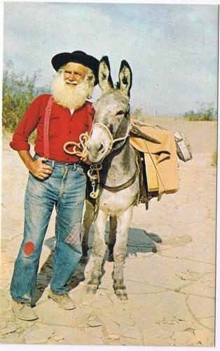 California Postcard Tumbleweed Harris & His Burro Lonesome John