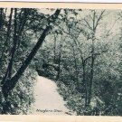 Niagara Falls Ontario Postcard Niagara Glen