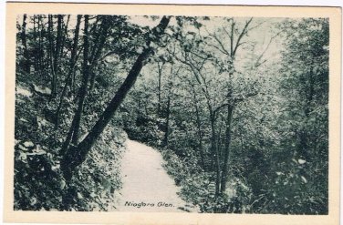 Niagara Falls Ontario Postcard Niagara Glen