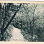 Niagara Falls Ontario Postcard Niagara Glen