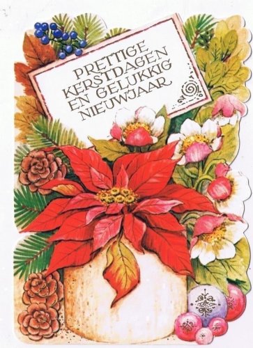 Holland Netherlands Postcard Christmas Die Cut Poinsettia
