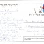 New Brunswick Postcard Purple Violet Floral Emblem Provincial Flower