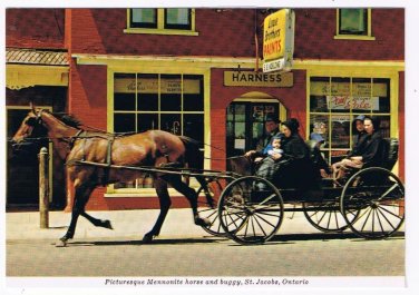 Ontario Laminated Postcard RPPC Mennonite Horse & Buggy St Jacob's