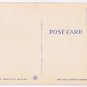 District of Columbia Postcard Washington Cherry Blossoms & Lincoln Memorial