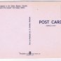 Manitoba Laminated Postcard RPPC Walrus Donated to Museum Churchill