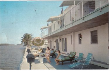 Florida Postcard Hollywood Beach Patrician Motel