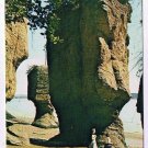 New Brunswick Postcard The Rocks Hopewell Cape