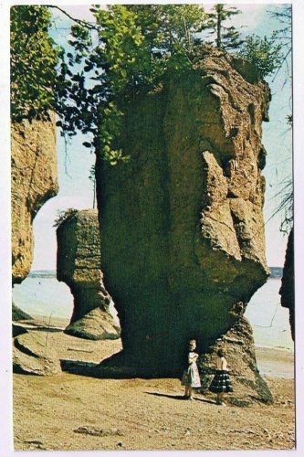New Brunswick Postcard The Rocks Hopewell Cape