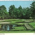 North Carolina Postcard Pinehurst Southern Pines Sandhills Of North Carolina