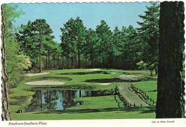 North Carolina Postcard Pinehurst Southern Pines Sandhills Of North Carolina