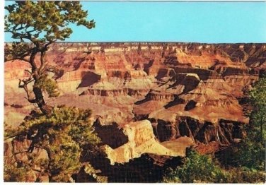 Arizona Postcard Mohave Point Grand Canyon National Park Curteich
