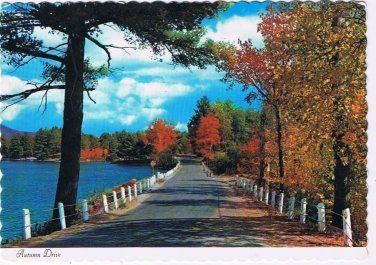 Ontario Postcard Autumn Drive Greeting From Egansville Bonnechere Cave Country