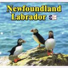 Newfoundland & Labrador Postcard Puffins On Rock