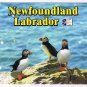 Newfoundland & Labrador Postcard Puffins On Rock