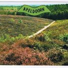 Holland Netherlands Postcard Apeldoorn Heather Field & Road
