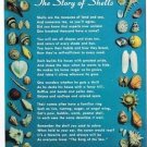 Hobby Postcard The Story Of The Shells