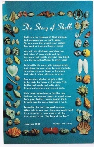 Hobby Postcard The Story Of The Shells