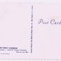 Caribbean Islands Postcard Ponciana Tree Sunny Caribbean