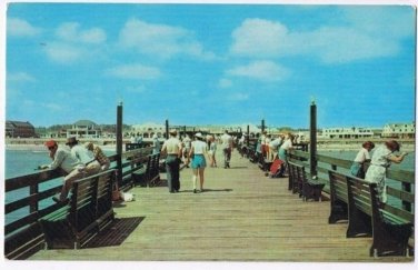 Virginia Postcard Virginia Beach Fishing Pier