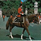 United Kingdom UK England Postcard London Queen Trooping The Colour Ceremony