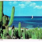 Aruba Netherlands Antilles West Indies Caribbean Postcard Coastline Cactus Boat
