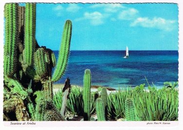 Aruba Netherlands Antilles West Indies Caribbean Postcard Coastline Cactus Boat