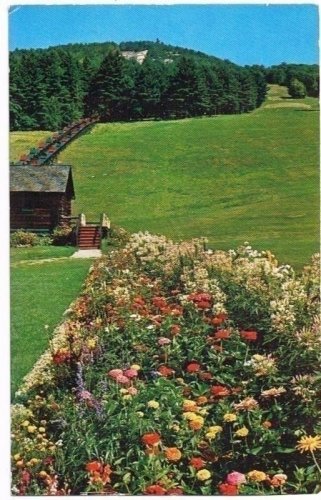 North Conway New Hampshire Postcard Famous Mt Cranmore Skimobile