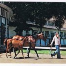 California Postcard Pacific Palisades Will Rogers State Stables On The Ranch