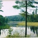 Perrault Falls Ontario Postcard Summer Lake