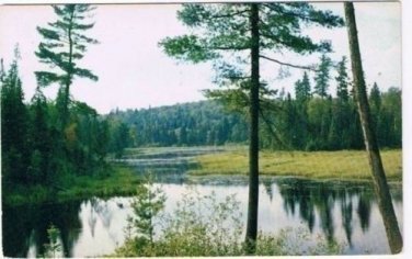 Perrault Falls Ontario Postcard Summer Lake