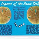 Sand Dollar Laminated Postcard Legend Holy Ghost Shell