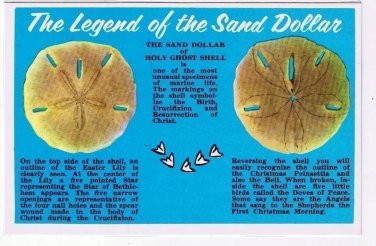 Sand Dollar Laminated Postcard Legend Holy Ghost Shell