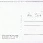 DC Postcard Washington Smithsonian Institution