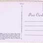 Niagara Falls Ontario Postcard Rainbow Bridge Carillon Tower