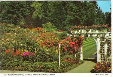 British Columbia Postcard Victoria Butchart Gardens Serenity