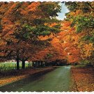 Ontario Postcard Canadian Scene Fall Higmans Highway Market Pointe Au Baril