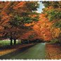 Ontario Postcard Canadian Scene Fall Higmans Highway Market Pointe Au Baril