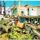 Bridgetown Barbados West Indies Postcard Careenage Scene Bananas Plantains