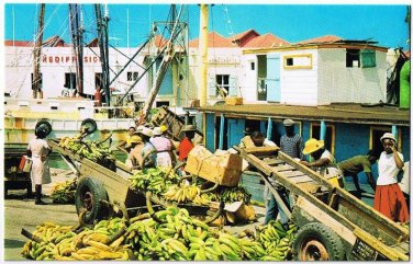 Bridgetown Barbados West Indies Postcard Careenage Scene Bananas Plantains