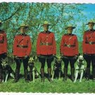 Canada Postcard RCMP Royal Canadian Mounted Policemen & Dogs