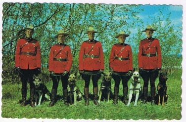 Canada Postcard RCMP Royal Canadian Mounted Policemen & Dogs