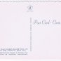 Canada Postcard RCMP Royal Canadian Mounted Policemen & Dogs