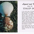 Nature Postcard Legend & Facts About Scallop Shell